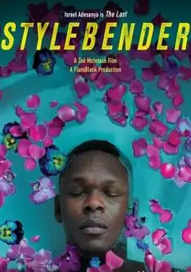 《风格弯曲者》：打破常规的视觉盛宴，色彩与想象力交织的奇幻之旅！